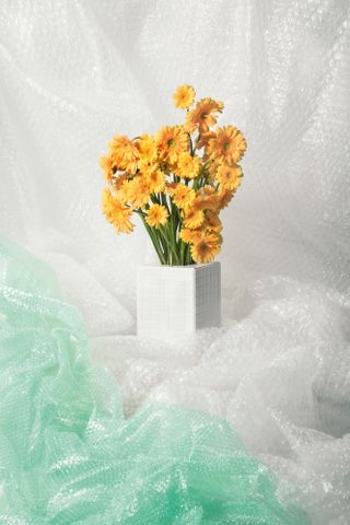 White vase with yellow flowers photographed on clear and green bubble wrap
