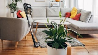 picture of handheld vacuum in living room