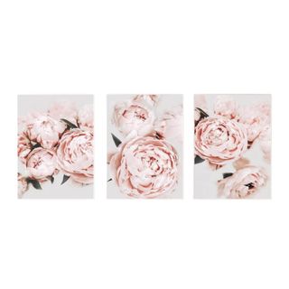 Pink peony wall art in a set of three