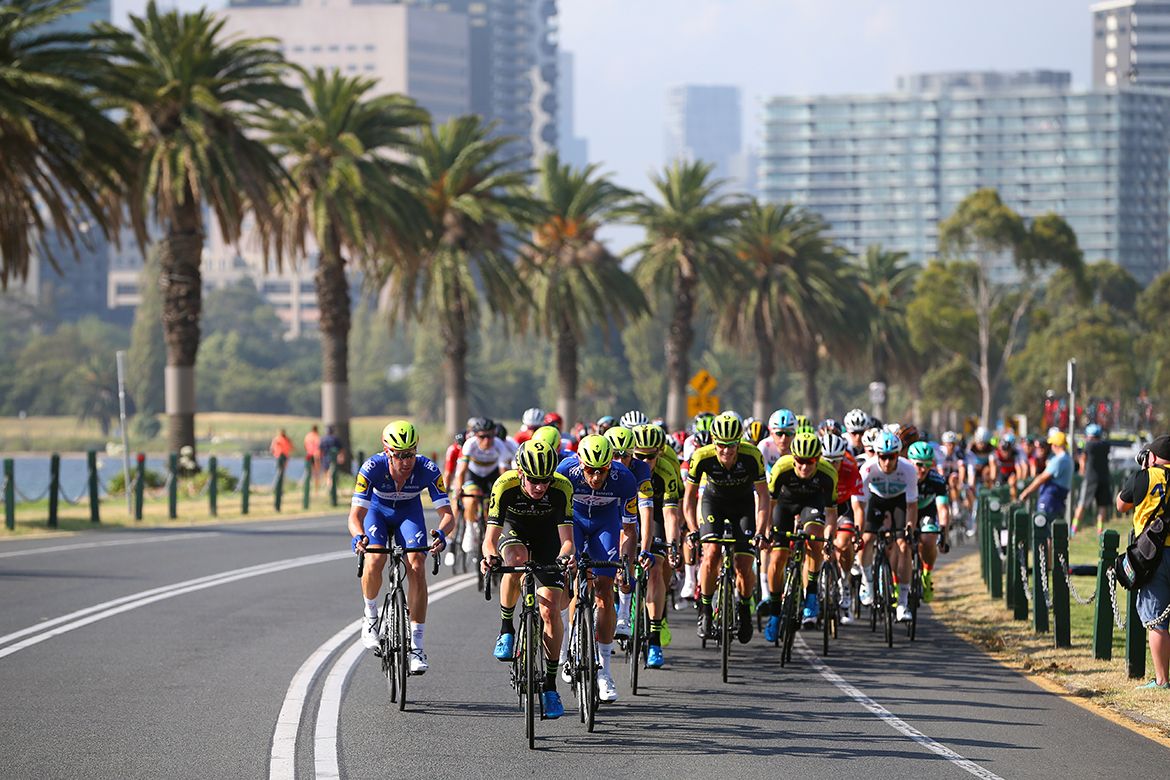 Mitchelton-Scott works on the front of the peloton