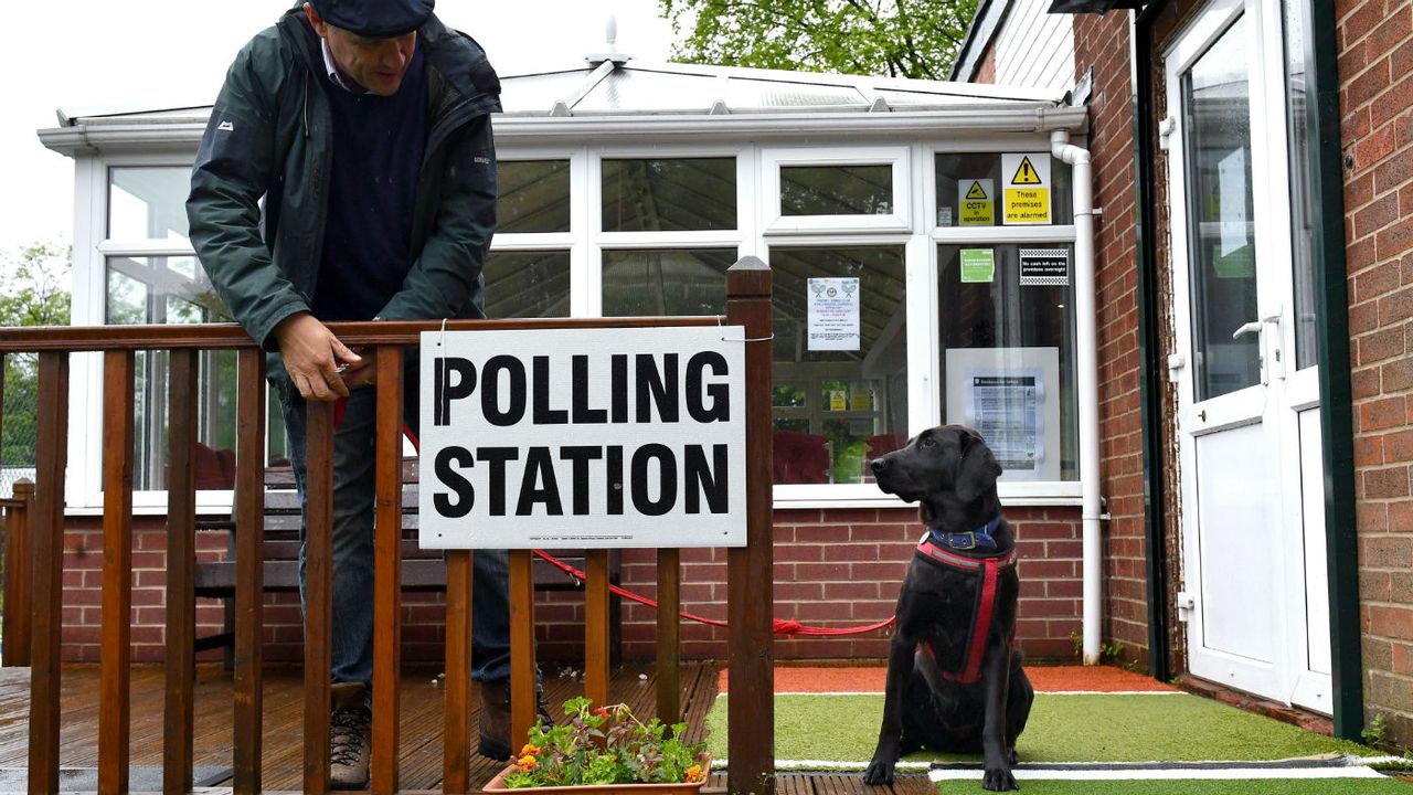 Dog at polling station