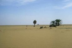 nile-kiseiba-oasis-101207-02