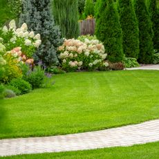 Lawn, path, and landscaping