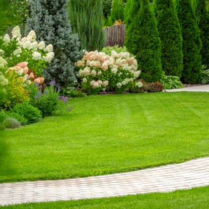 Lawn, path, and landscaping