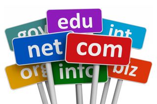 Domain name labels