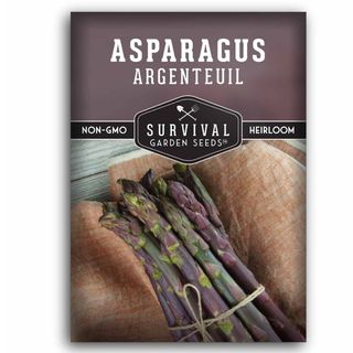 Argenteuil Purple Asparagus Seeds