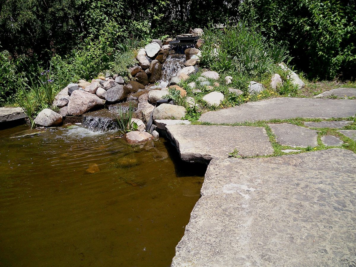 Sample image taken with the Camp Snap 2