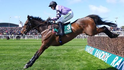 Stage Star, pictured with jockey Harry Cobden, has retired from racing.