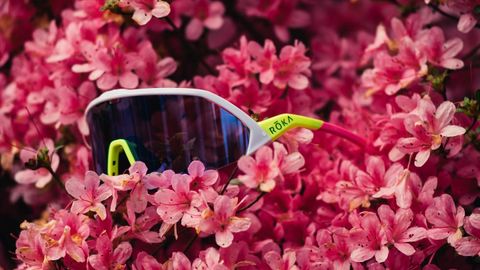 A brightly coloured pair of sunglasses in some pink flowers