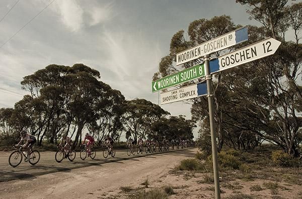The peloton on the back roads of Swan Hill as they make the trip to Lake Boga on stage eight.