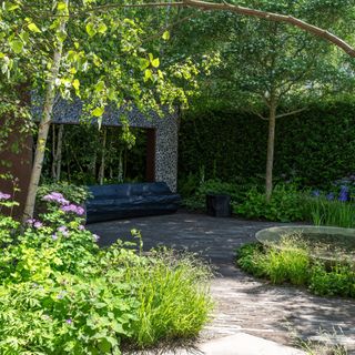 RHS Chelsea Flower Show Muscular Dystrophy Forest bathing show garden