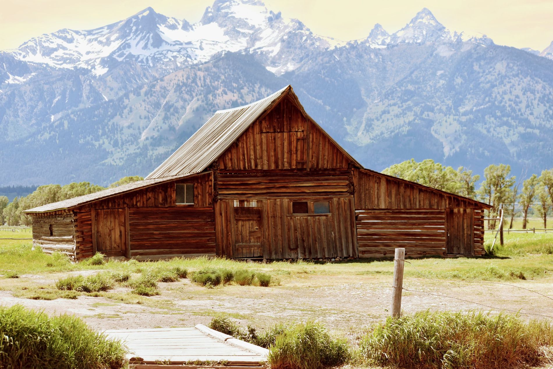 GuruShots - February 2026