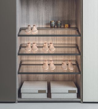 shoe storage within a closet, glass shelves and lighting