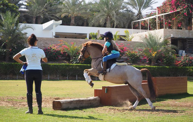 First cross country in Dubai, UAE, with Poppy age 7 and the wonderful Putwell Golden Gift!