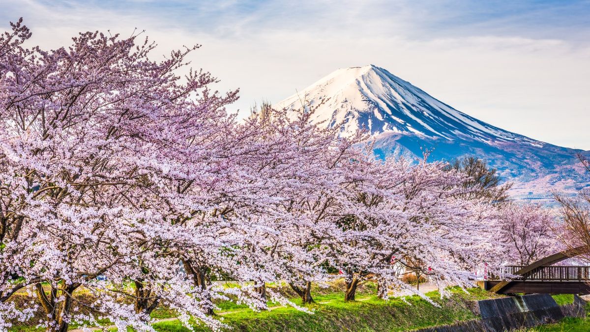 Spring: The season of new beginnings | Live Science