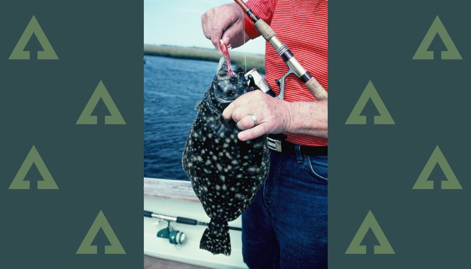 How to catch flounder tips for successful fluke fishing Advnture