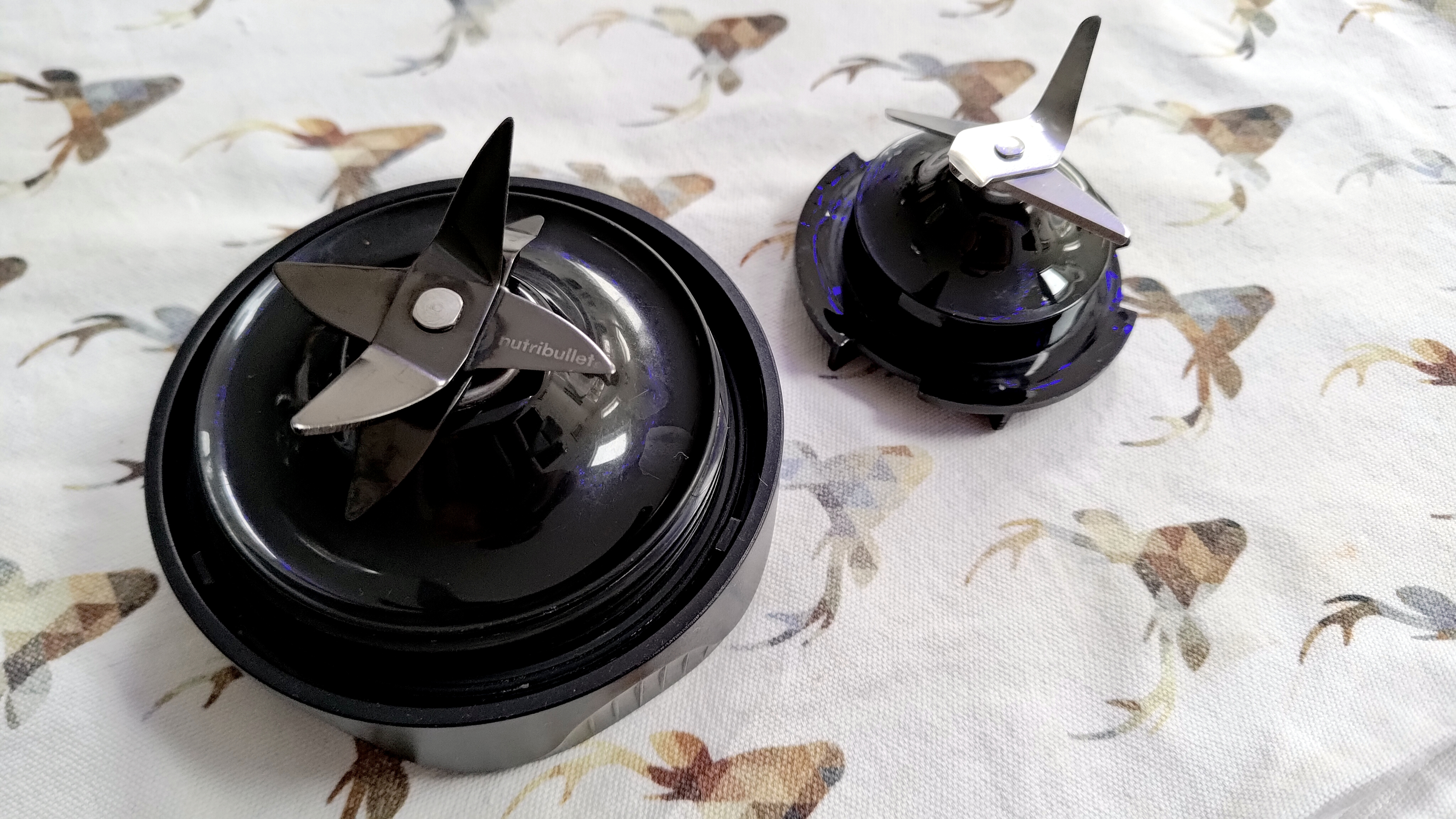 Nutribullet Ultra 1200 vs budget blender