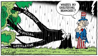 Political Cartoon U.S. Branches of Government 2016