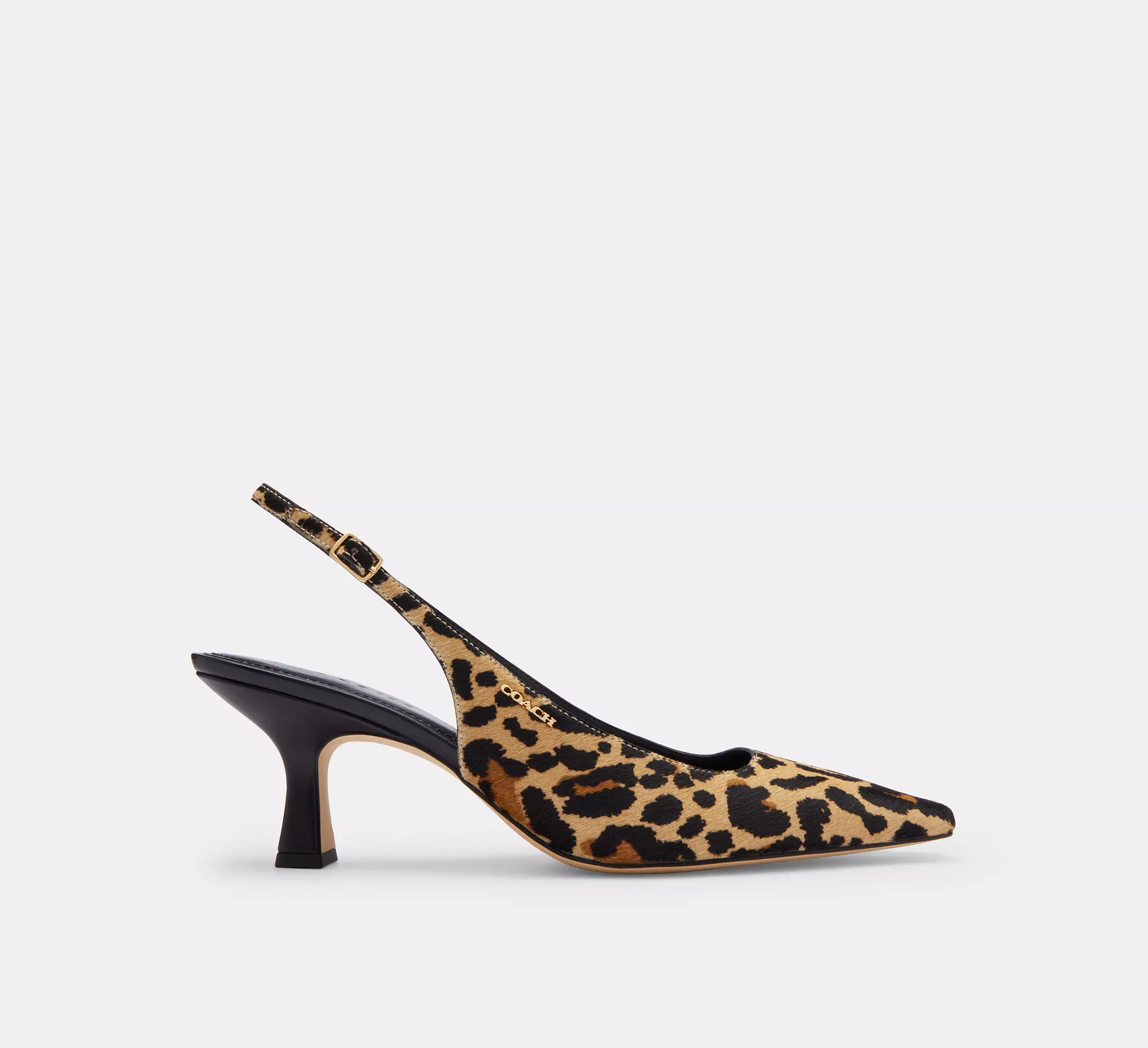 Coach, Slingback Heel With Leopard Print