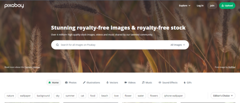 Pixabay royalty-free stock media site during our review process