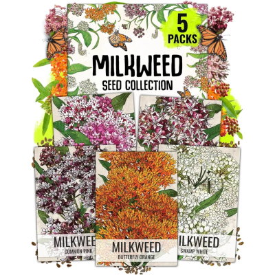 Seed Needs Milkweed Seeds