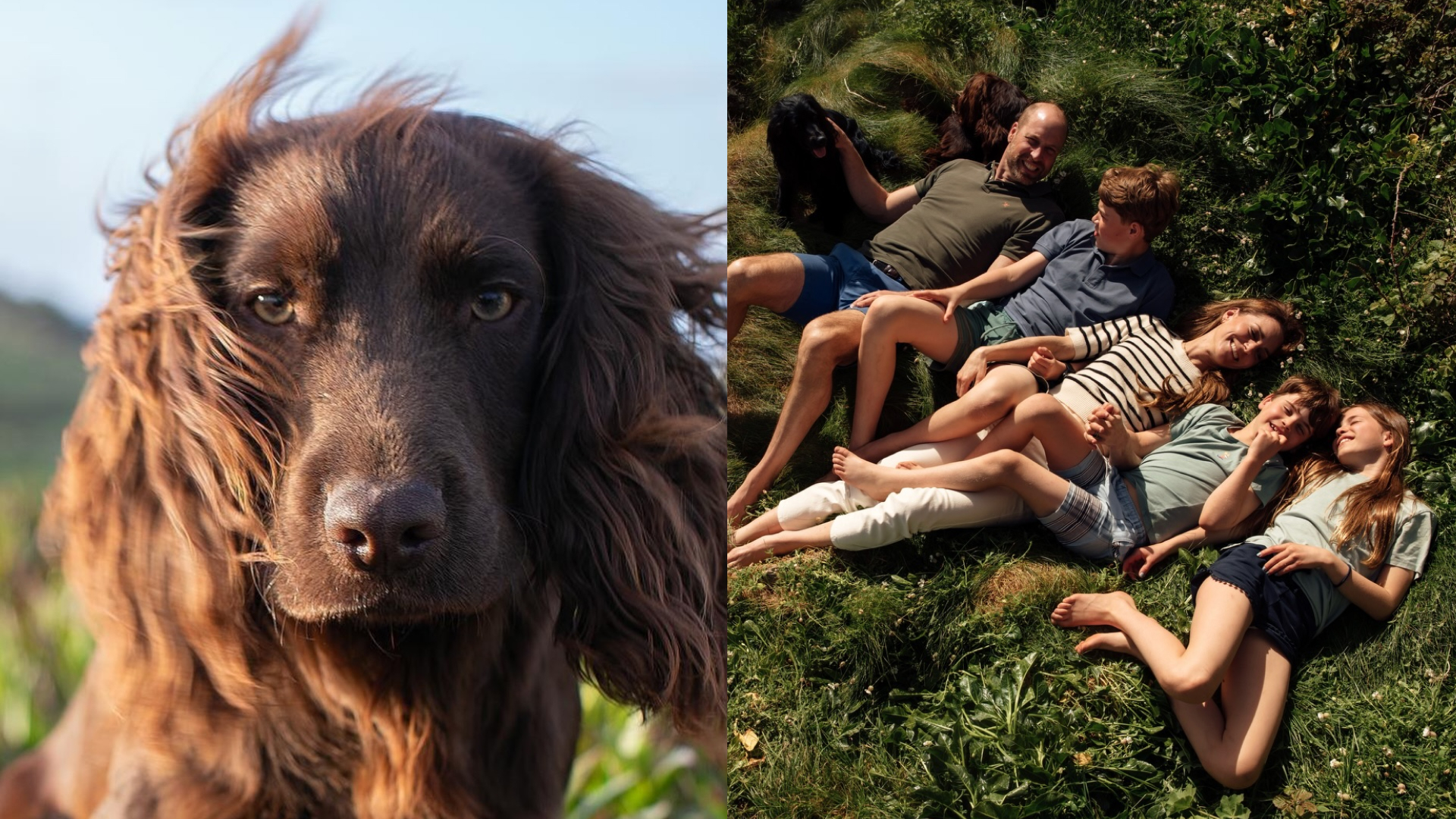 Otto the dog; the Wales family laying in grass