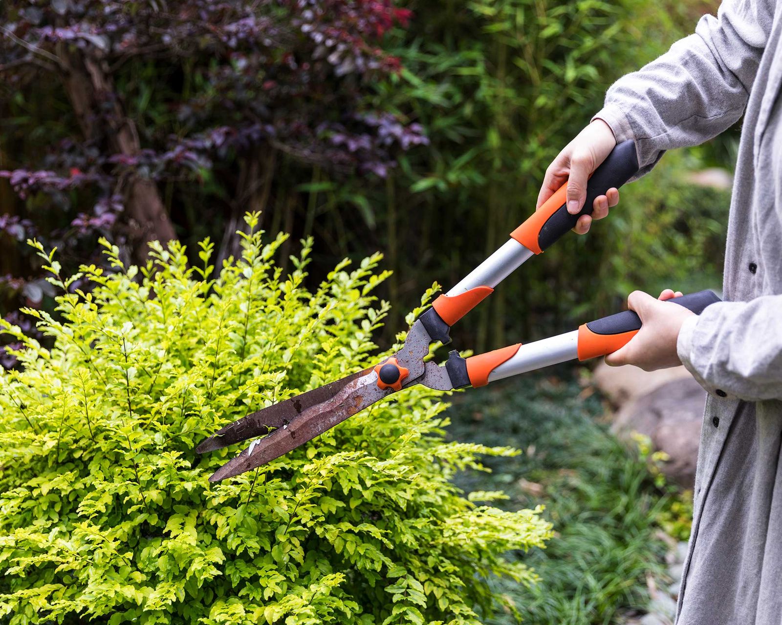 How to sharpen garden shears in 7 easy steps Gardeningetc