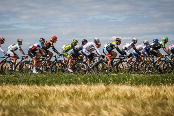 Riding through Alberta's farmlands on stage 2