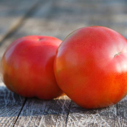 two ripe red tomatoes 