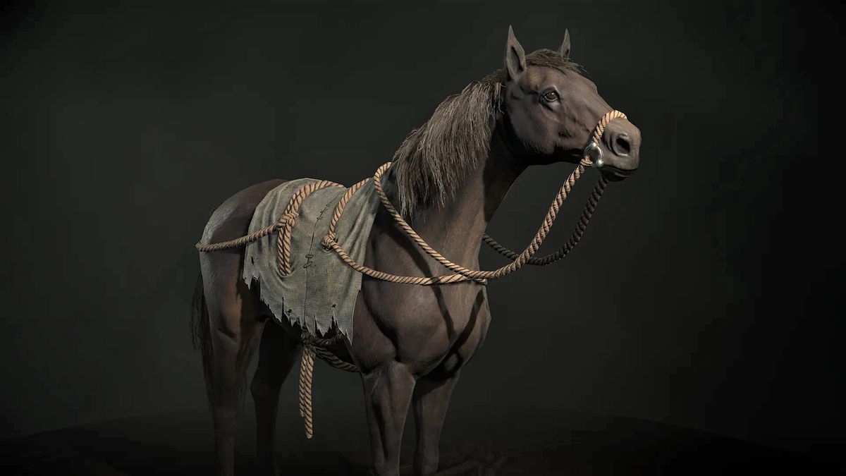 Astonished Diablo 4 players discover they've been moving their horses wrong this whole time