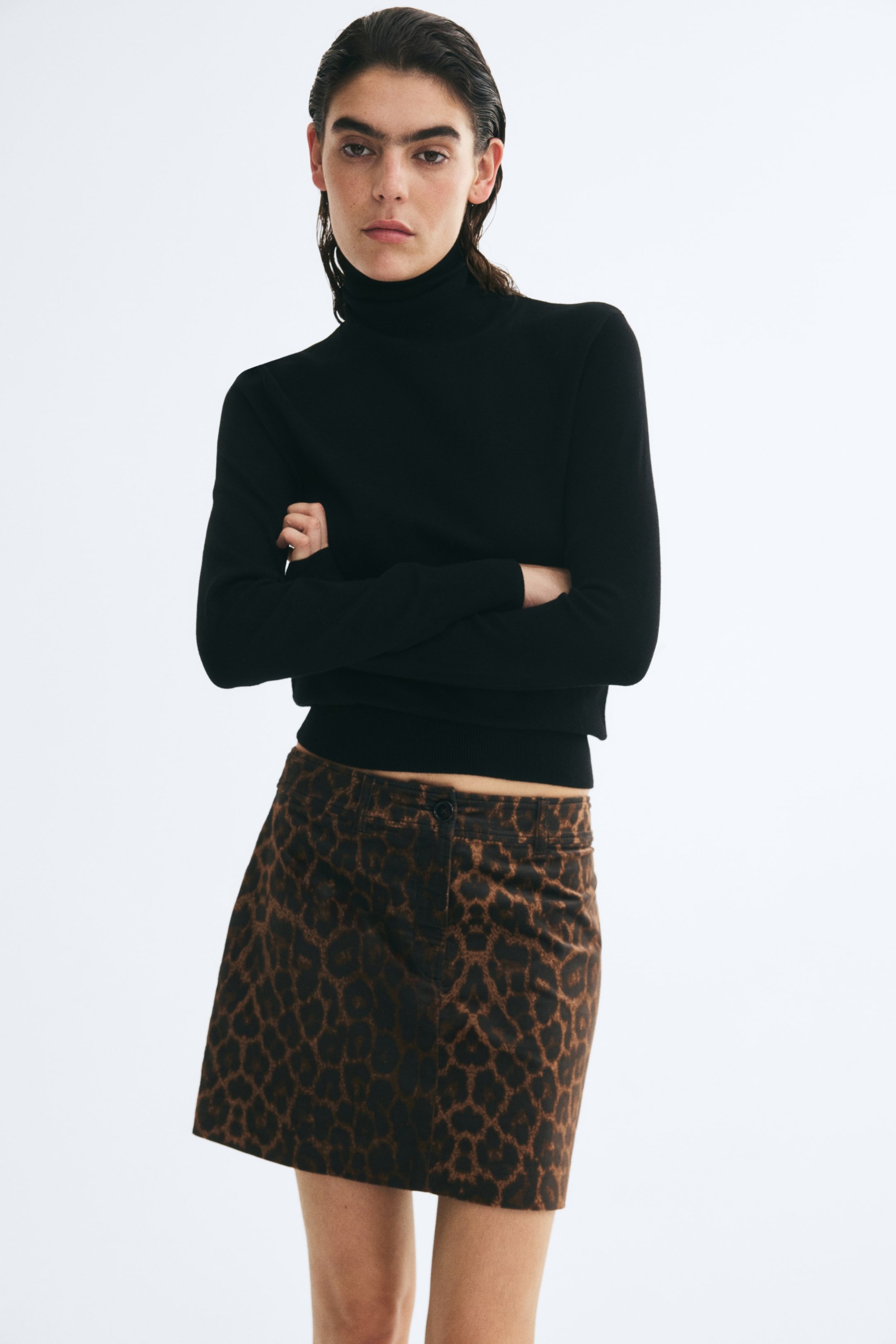 Mini Skirt