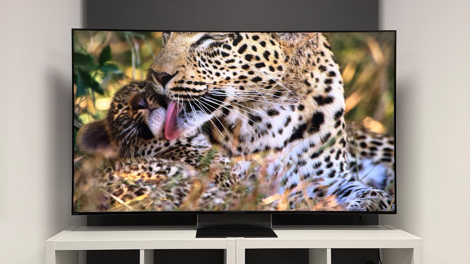 Sony Bravia 9 II RGB Mini LED TV
