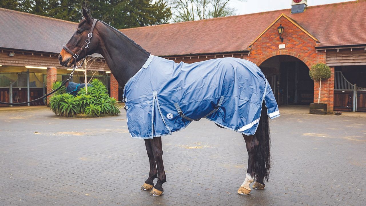 Derby House Elite detach-a-neck turnout review