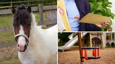 Becky-Web-image-abandoned-pony-NEW.jpg