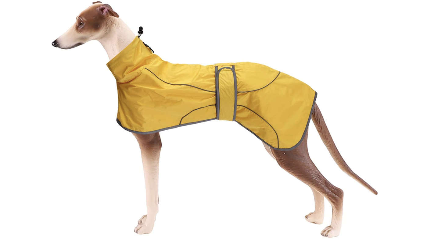 Geyecete Dog Jacket for whippet, lurcher and greyhound