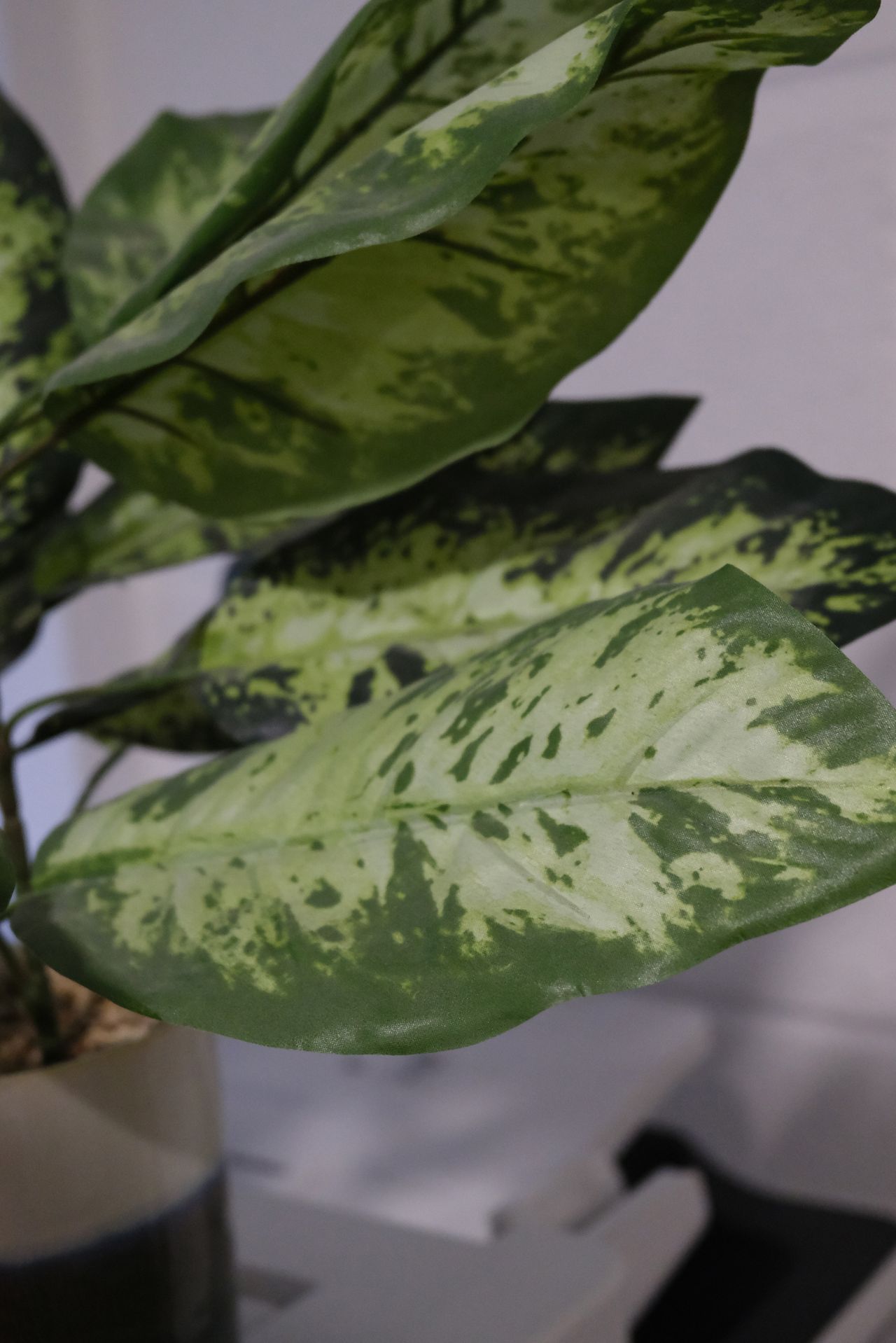 A photo taken on a Fujifilm GFX100RF medium format camera