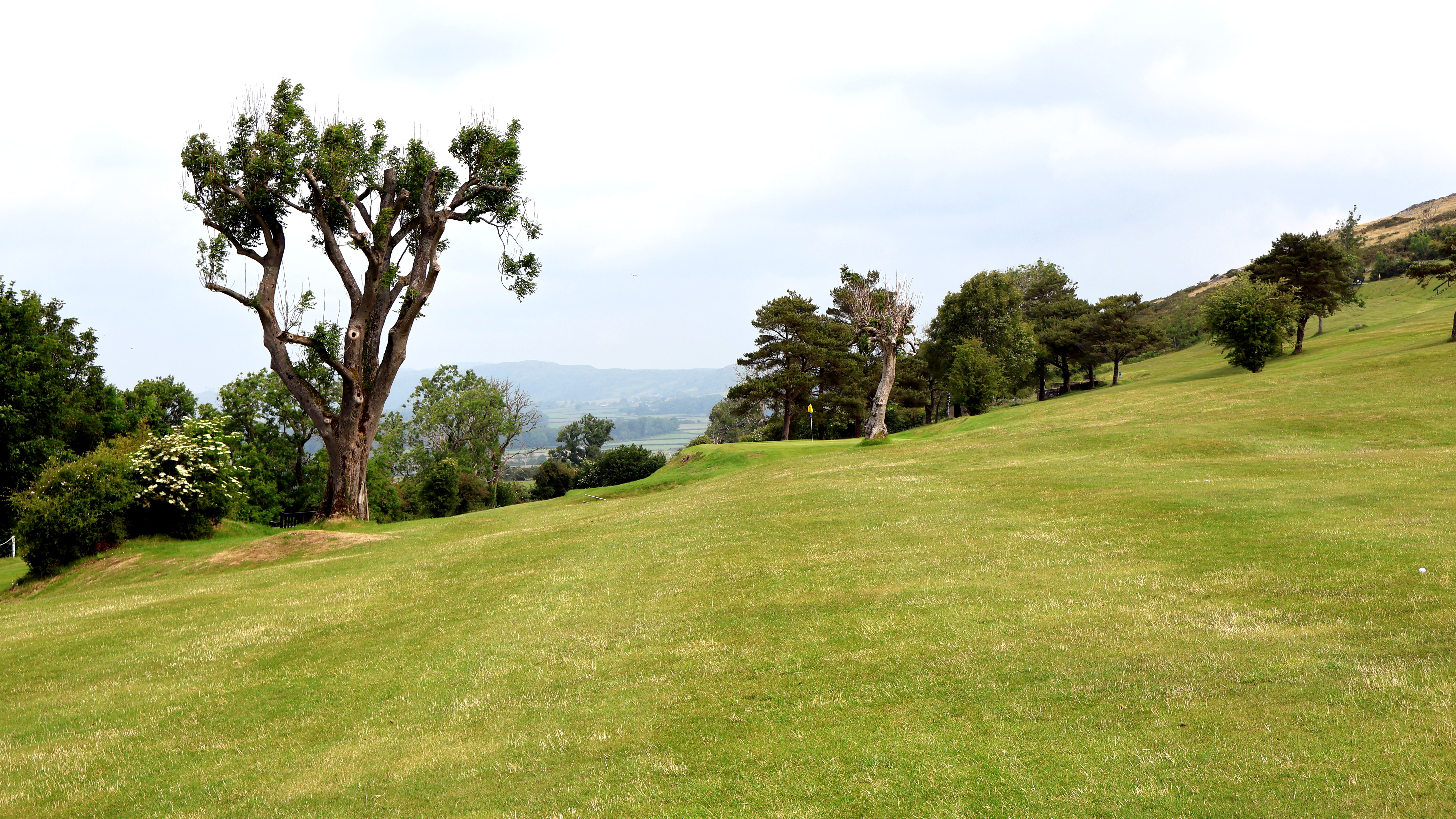 Grange Fell - Hole 4 - RS
