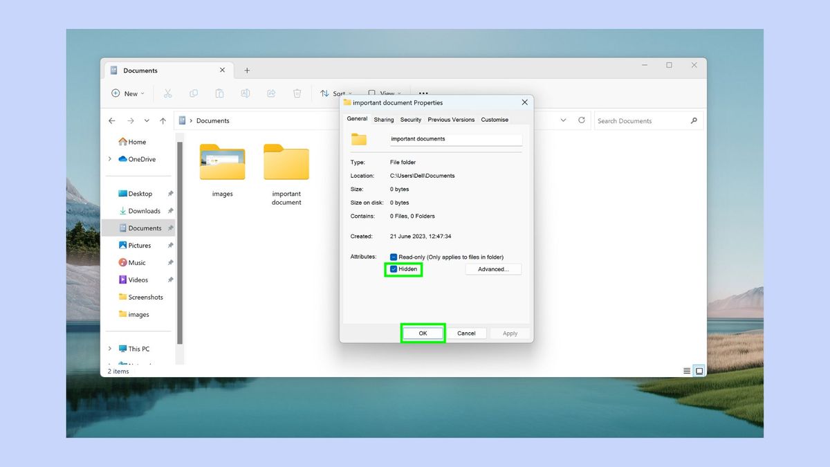 how to hide hidden files windows 11
