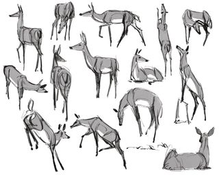 How to draw animals: 02