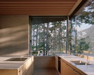 forest and water as seen from the large kitchen windows at The Rock house by Gort Scott