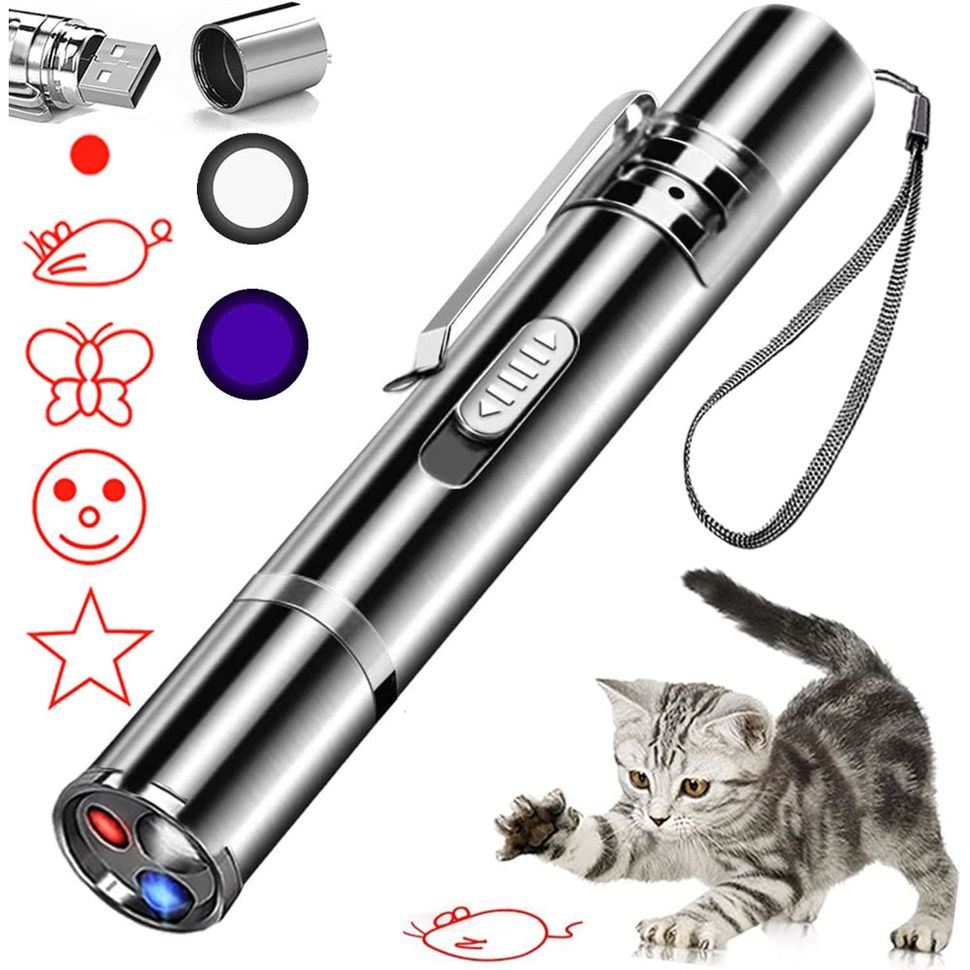 Best kitten toys: The top playthings for your new cat | PetsRadar