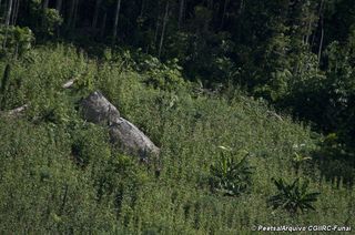 The tribe's lands are threatened by outside intrustion.