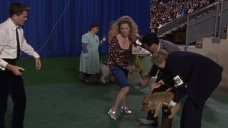 Cookie trying to walk on her knee in Best in Show