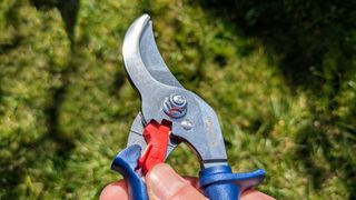 Close-up of the blades and position selector of the Opinel pruning shears