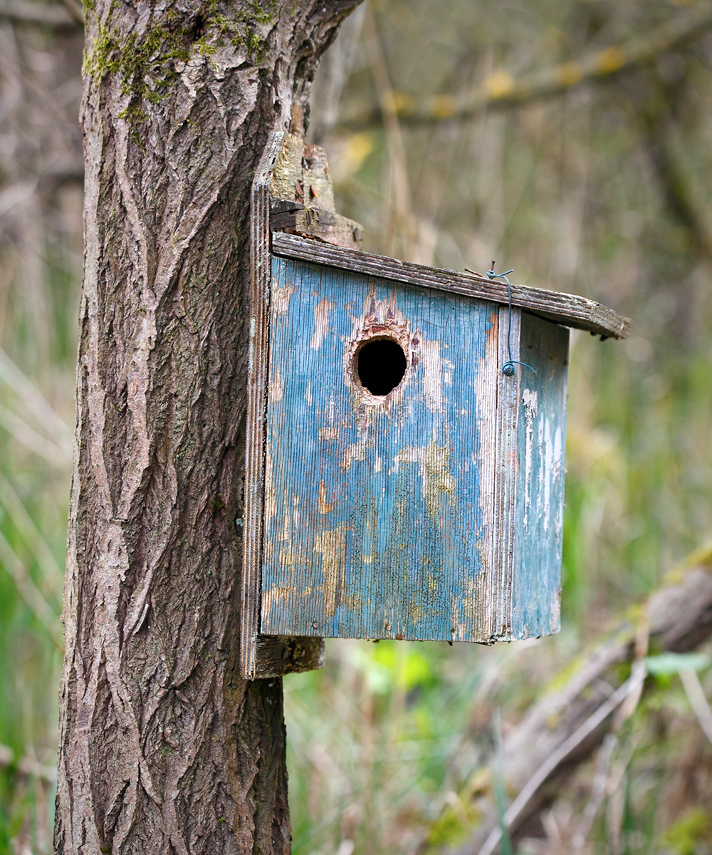 eco-friendly garden ideas