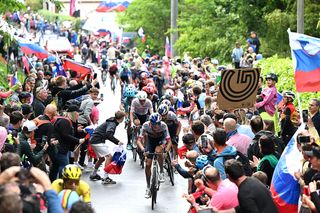 NOVA GORICA ITALY MAY 24 LR Primoz Roglic of Slovenia and Giulio Pellizzari of Italy and Team Red Bull BORA hansgrohe compete while fans cheer during the 108th Giro dItalia 2025 Stage 14 a 195km stage from Treviso to Nova Gorica UCIWT on May 24 2025 in Nova Gorica Italy Photo by Dario BelingheriGetty Images