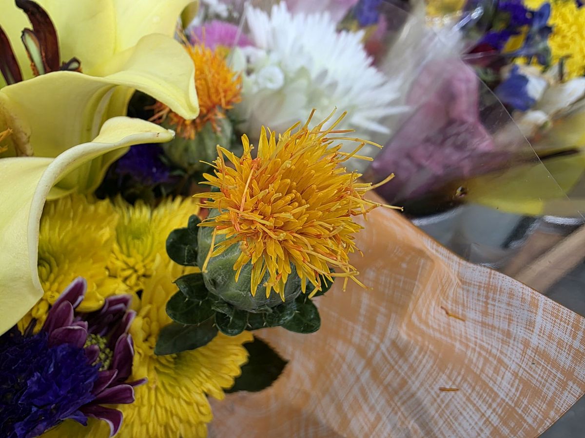 Samsung Galaxy S25 Ultra macro sample.