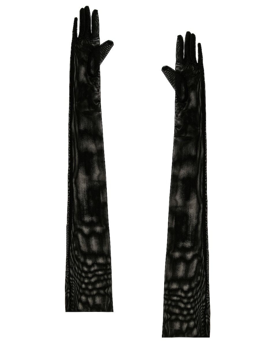 Long Gloves