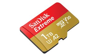 SanDisk 1TB SD card
