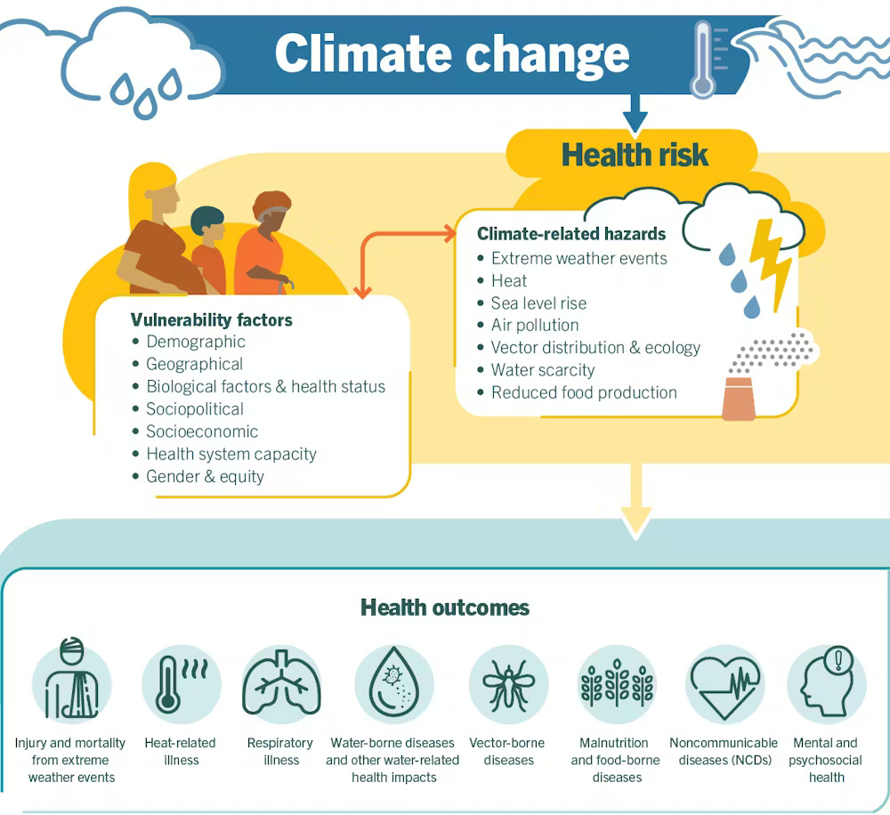 A poster showing the health effects of climate change, with the title at the top of the poster saying "Climate change" with a series of cartoon figures below with boxouts showing specific hazards like air pollution. The bottom of the poster is labeled "Health Outcomes" and has a series of cartoon images with different health issues.